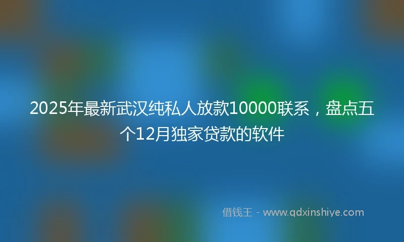 2025年最新武汉纯私人放款10000联系，盘点五个12月独家贷款的软件
