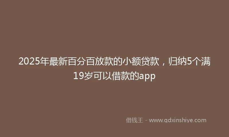 2025年最新百分百放款的小额贷款，归纳5个满19岁可以借款的app