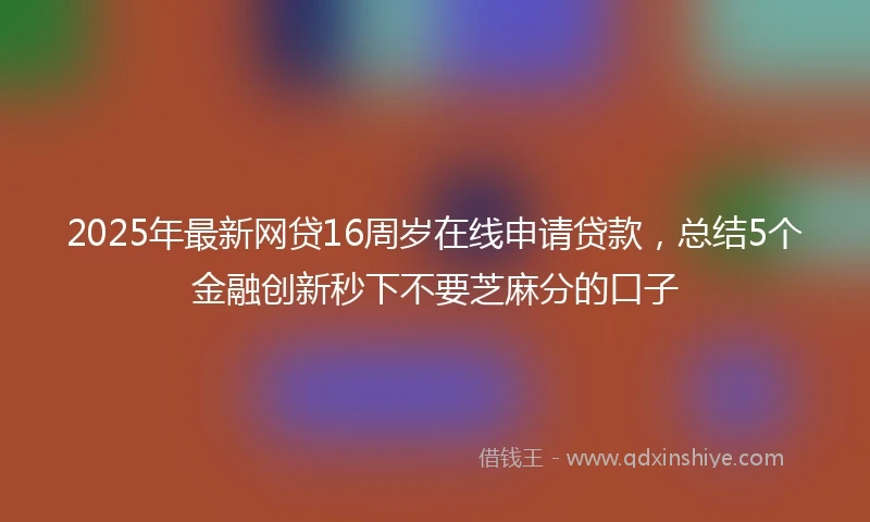 2025年最新网贷16周岁在线申请贷款，总结5个金融创新秒下不要芝麻分的口子