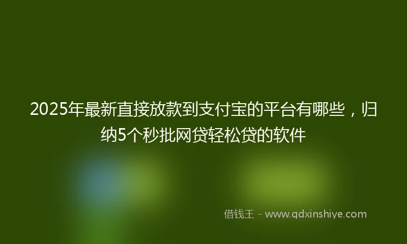 2025年最新直接放款到支付宝的平台有哪些，归纳5个秒批网贷轻松贷的软件