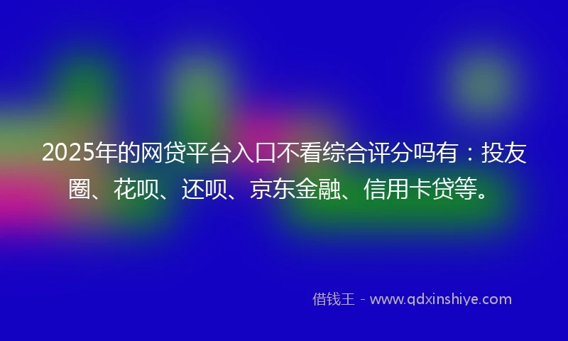 2025年的网贷平台入口不看综合评分吗有：投友圈、花呗、还呗、京东金融、信用卡贷等。