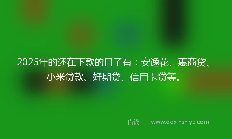 2025年的还在下款的口子有：安逸花、惠商贷、小米贷款、好期贷、信用卡贷等。