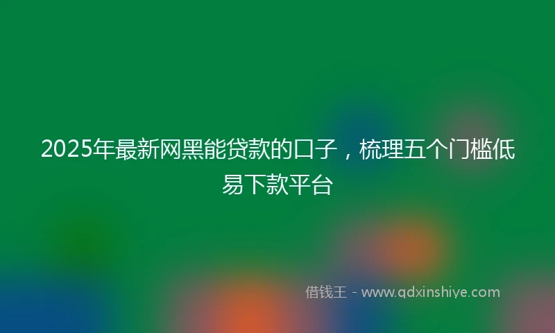 2025年最新网黑能贷款的口子，梳理五个门槛低易下款平台