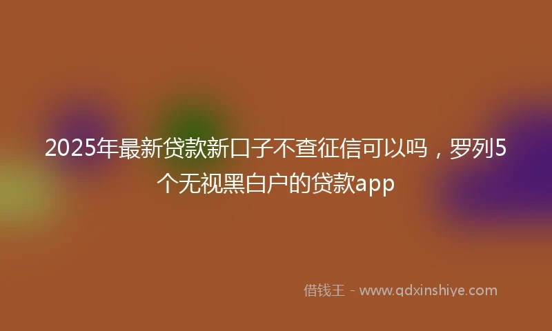 2025年最新贷款新口子不查征信可以吗，罗列5个无视黑白户的贷款app