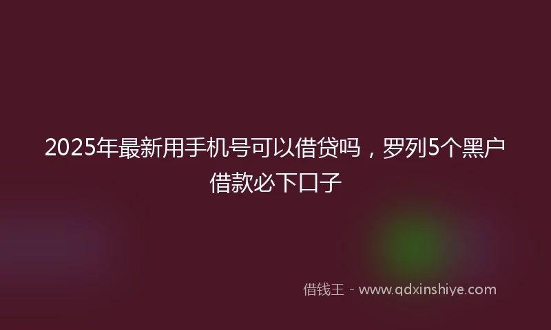 2025年最新用手机号可以借贷吗，罗列5个黑户借款必下口子