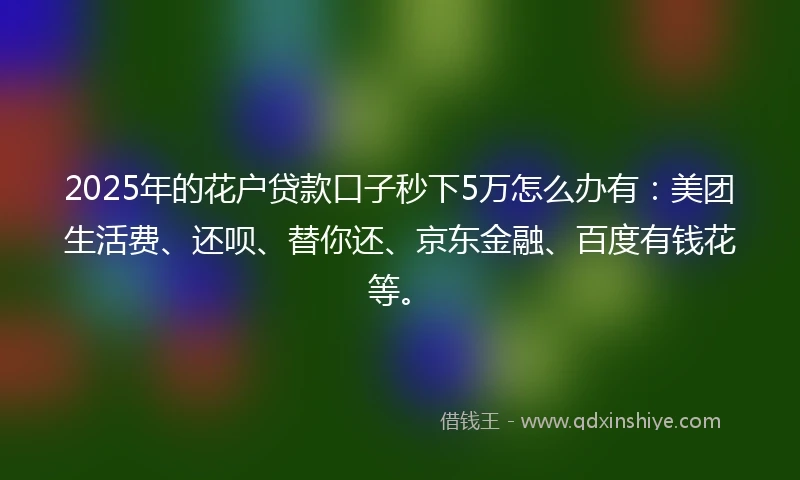 2025年的花户贷款口子秒下5万怎么办有：美团生活费、还呗、替你还、京东金融、百度有钱花等。