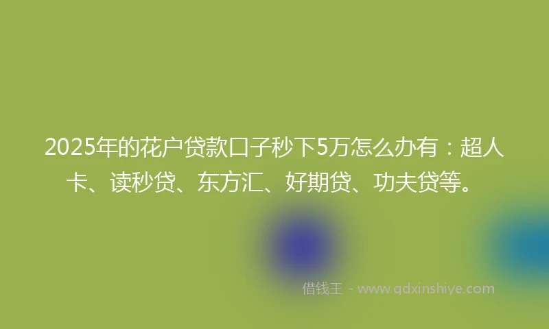 2025年的花户贷款口子秒下5万怎么办有：超人卡、读秒贷、东方汇、好期贷、功夫贷等。