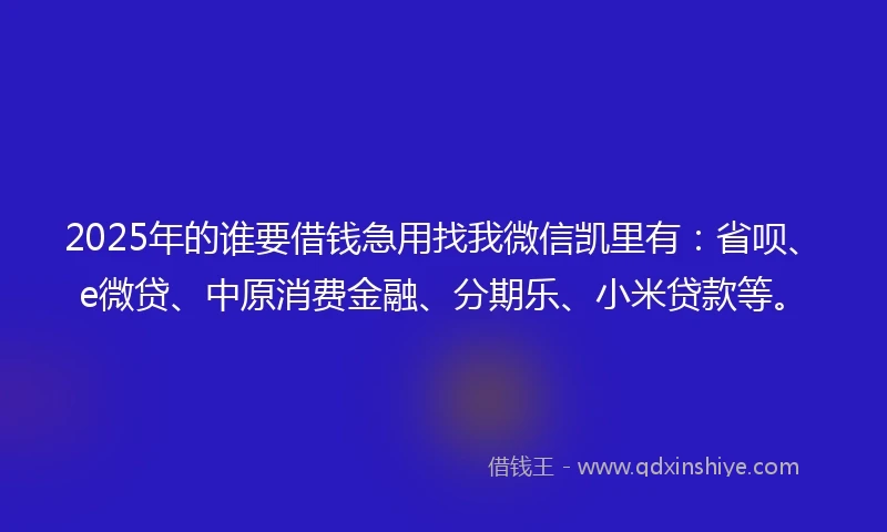 2025年的谁要借钱急用找我微信凯里有：省呗、e微贷、中原消费金融、分期乐、小米贷款等。