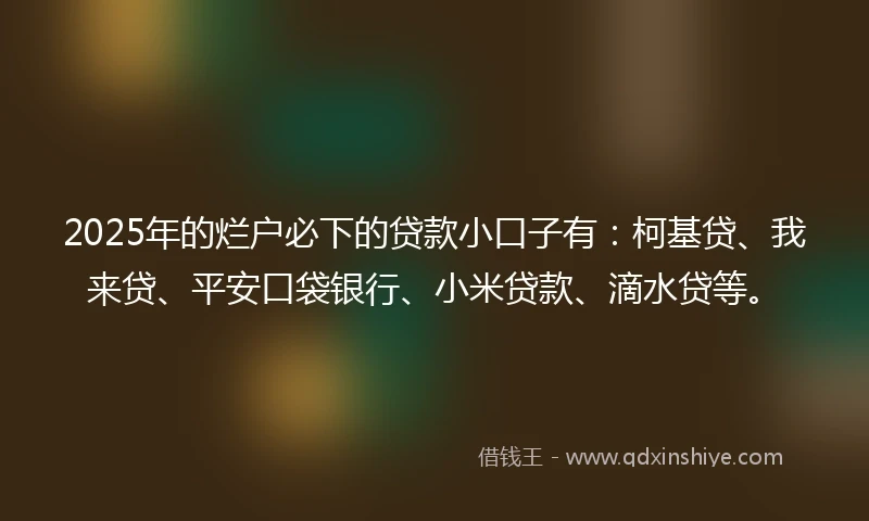 2025年的烂户必下的贷款小口子有：柯基贷、我来贷、平安口袋银行、小米贷款、滴水贷等。