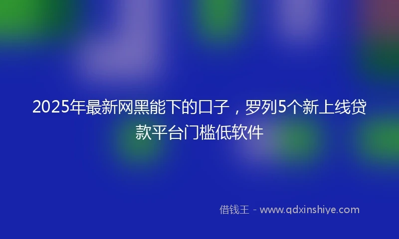 2025年最新网黑能下的口子，罗列5个新上线贷款平台门槛低软件
