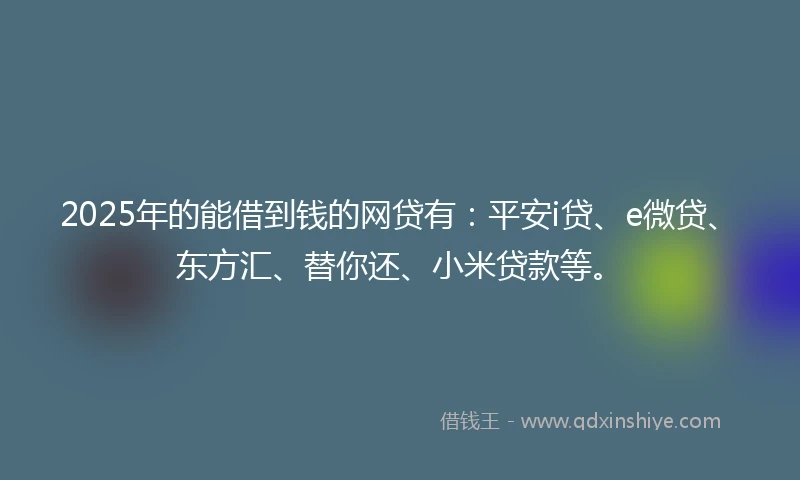 2025年的能借到钱的网贷有：平安i贷、e微贷、东方汇、替你还、小米贷款等。