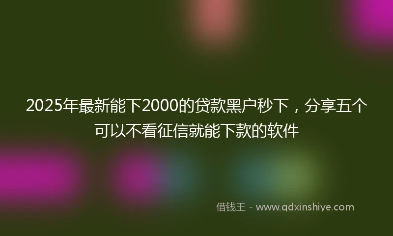 2025年最新能下2000的贷款黑户秒下，分享五个可以不看征信就能下款的软件