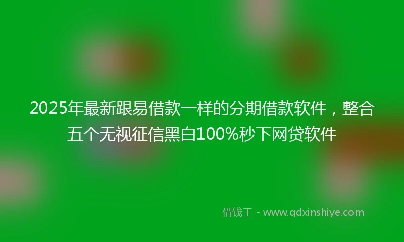 2025年最新跟易借款一样的分期借款软件，整合五个无视征信黑白100%秒下网贷软件