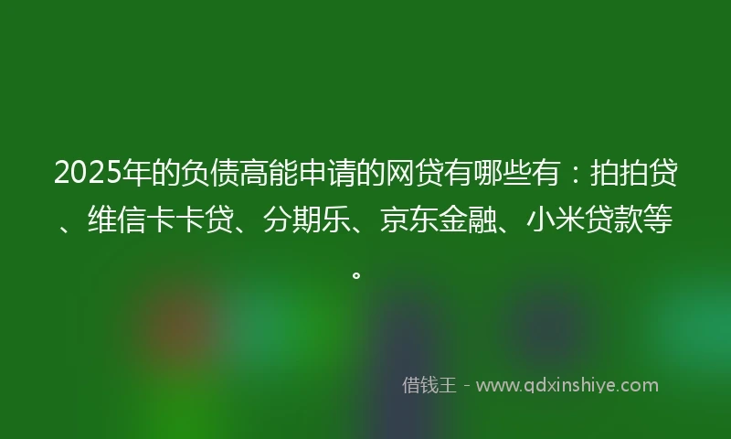 2025年的负债高能申请的网贷有哪些有：拍拍贷、维信卡卡贷、分期乐、京东金融、小米贷款等。