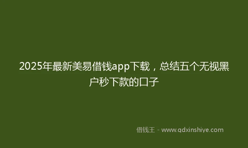 2025年最新美易借钱app下载，总结五个无视黑户秒下款的口子
