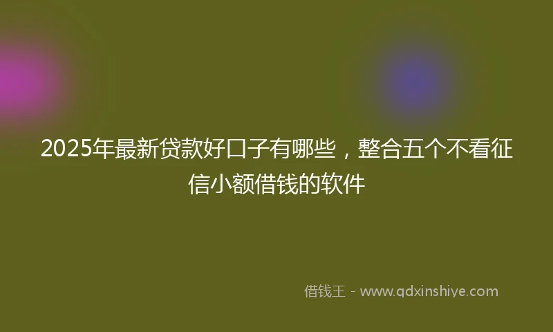 2025年最新贷款好口子有哪些，整合五个不看征信小额借钱的软件