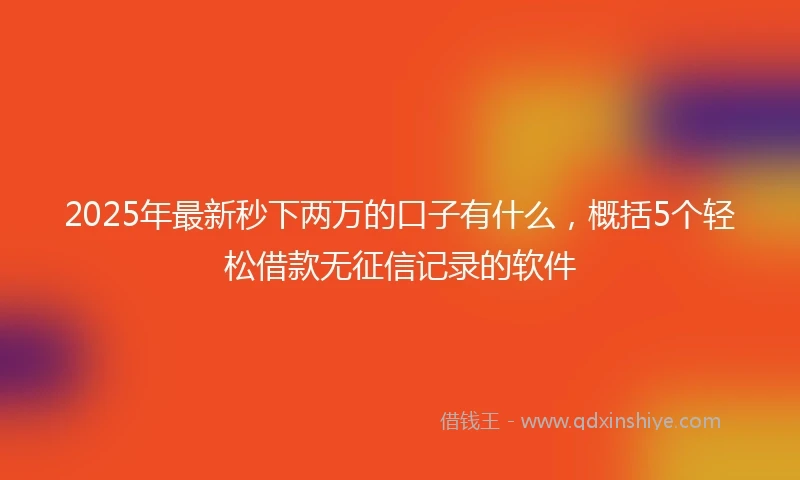 2025年最新秒下两万的口子有什么,概括5个轻松借款无征信记录的软件