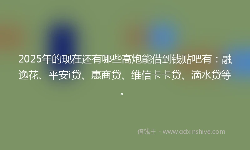 2025年的现在还有哪些高炮能借到钱贴吧有：融逸花、平安i贷、惠商贷、维信卡卡贷、滴水贷等。