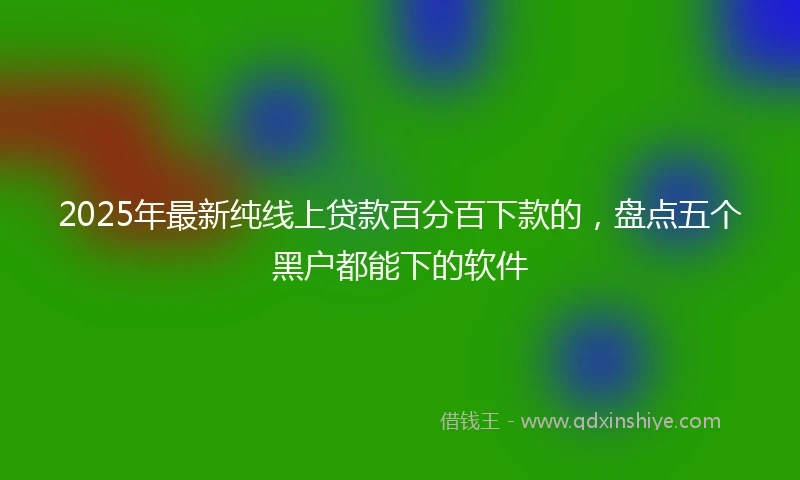 2025年最新纯线上贷款百分百下款的，盘点五个黑户都能下的软件