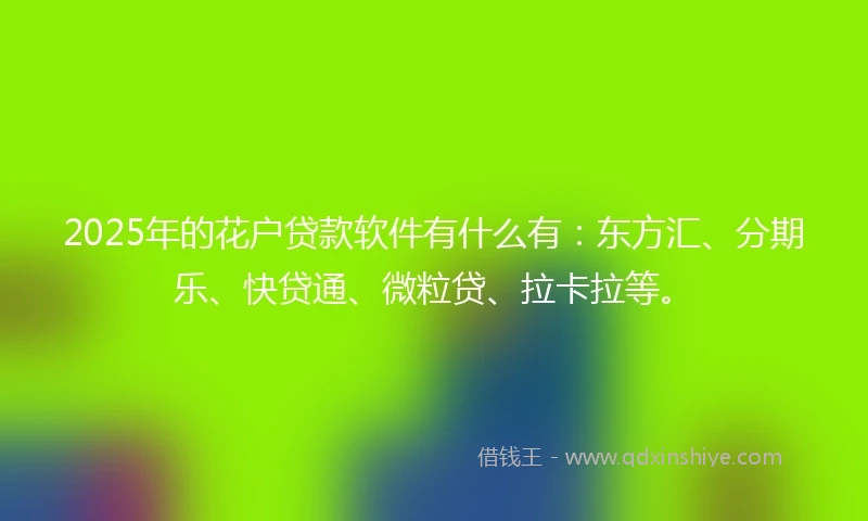 2025年的花户贷款软件有什么有：东方汇、分期乐、快贷通、微粒贷、拉卡拉等。