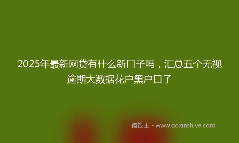 2025年最新网贷有什么新口子吗，汇总五个无视逾期大数据花户黑户口子