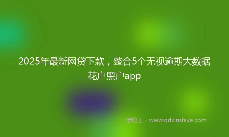 2025年最新网贷下款，整合5个无视逾期大数据花户黑户app