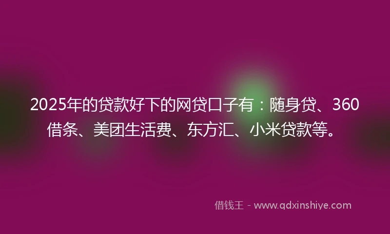2025年的贷款好下的网贷口子有：随身贷、360借条、美团生活费、东方汇、小米贷款等。