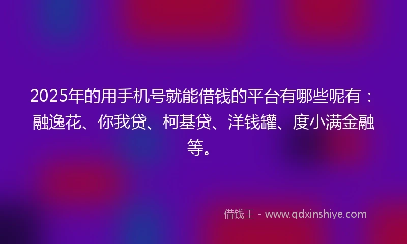 2025年的用手机号就能借钱的平台有哪些呢有：融逸花、你我贷、柯基贷、洋钱罐、度小满金融等。