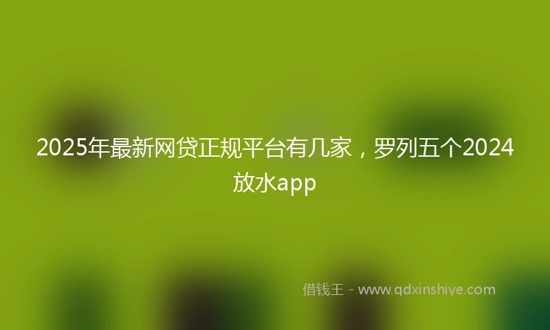 2025年最新网贷正规平台有几家，罗列五个2024放水app