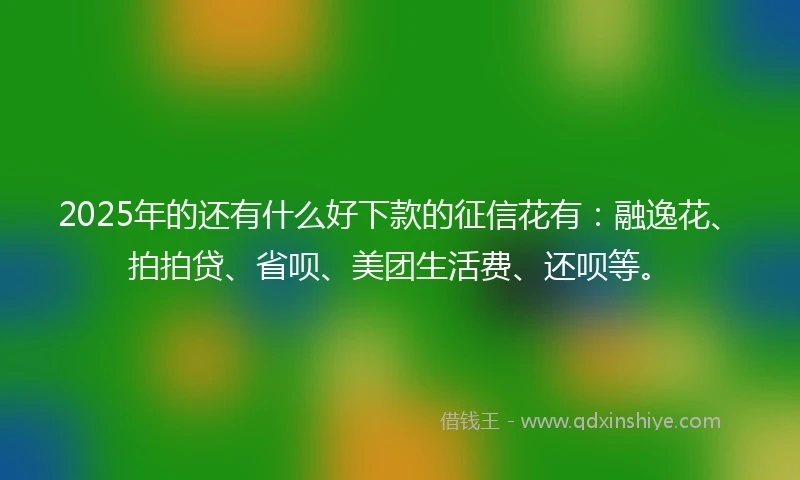 2025年的还有什么好下款的征信花有：融逸花、拍拍贷、省呗、美团生活费、还呗等。
