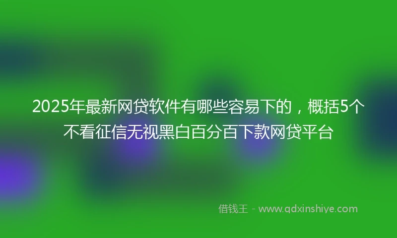 2025年最新网贷软件有哪些容易下的，概括5个不看征信无视黑白百分百下款网贷平台