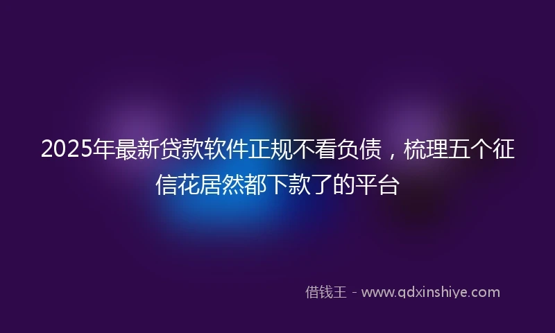 2025年最新贷款软件正规不看负债，梳理五个征信花居然都下款了的平台