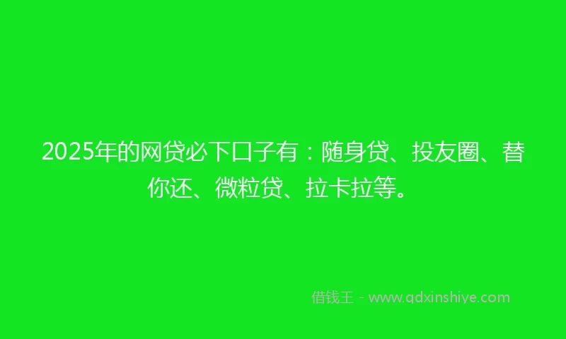 2025年的网贷必下口子有：随身贷、投友圈、替你还、微粒贷、拉卡拉等。