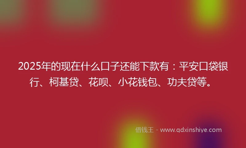 2025年的现在什么口子还能下款有：平安口袋银行、柯基贷、花呗、小花钱包、功夫贷等。