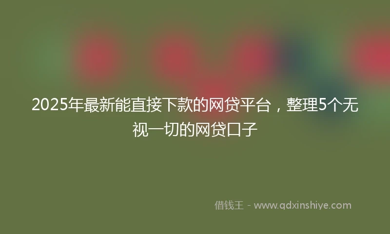 2025年最新能直接下款的网贷平台，整理5个无视一切的网贷口子