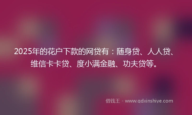 2025年的花户下款的网贷有：随身贷、人人贷、维信卡卡贷、度小满金融、功夫贷等。