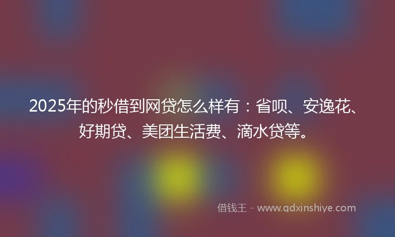 2025年的秒借到网贷怎么样有：省呗、安逸花、好期贷、美团生活费、滴水贷等。