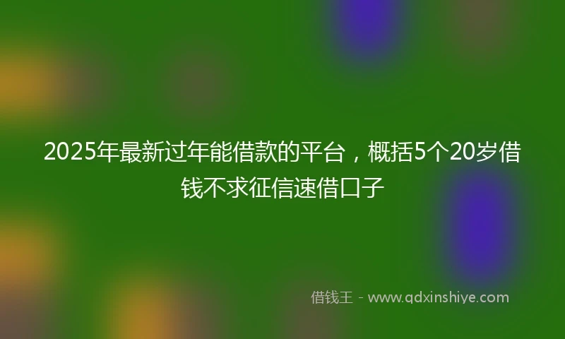 2025年最新过年能借款的平台，概括5个20岁借钱不求征信速借口子