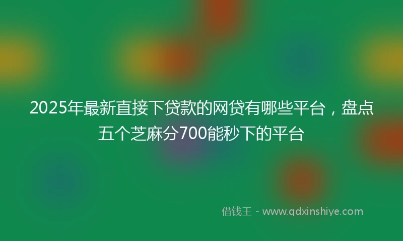 2025年最新直接下贷款的网贷有哪些平台，盘点五个芝麻分700能秒下的平台