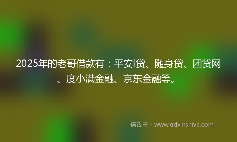 2025年的老哥借款有：平安i贷、随身贷、团贷网、度小满金融、京东金融等。