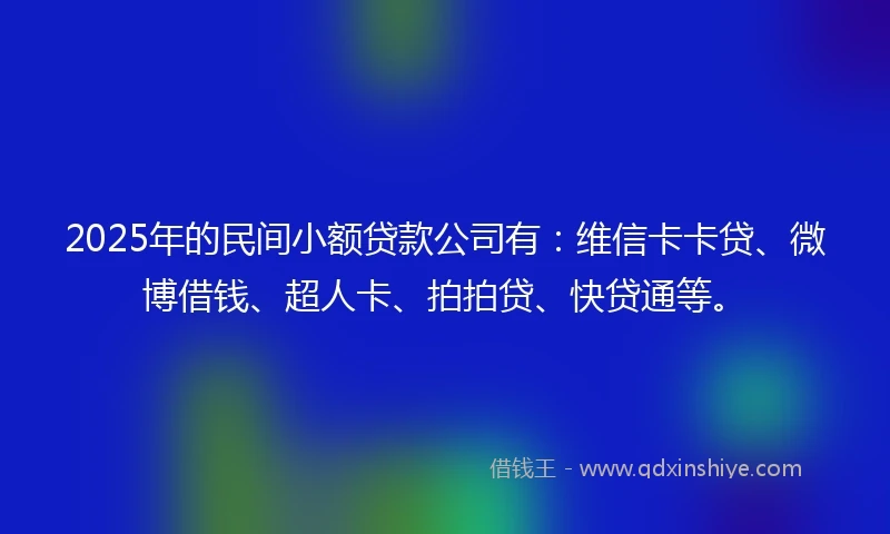 2025年的民间小额贷款公司有：维信卡卡贷、微博借钱、超人卡、拍拍贷、快贷通等。