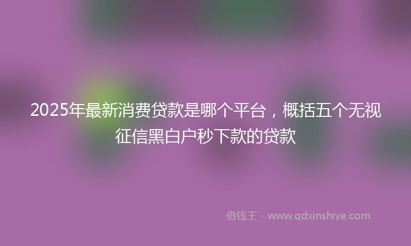 2025年最新消费贷款是哪个平台，概括五个无视征信黑白户秒下款的贷款