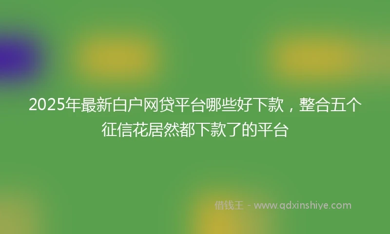 2025年最新白户网贷平台哪些好下款，整合五个征信花居然都下款了的平台