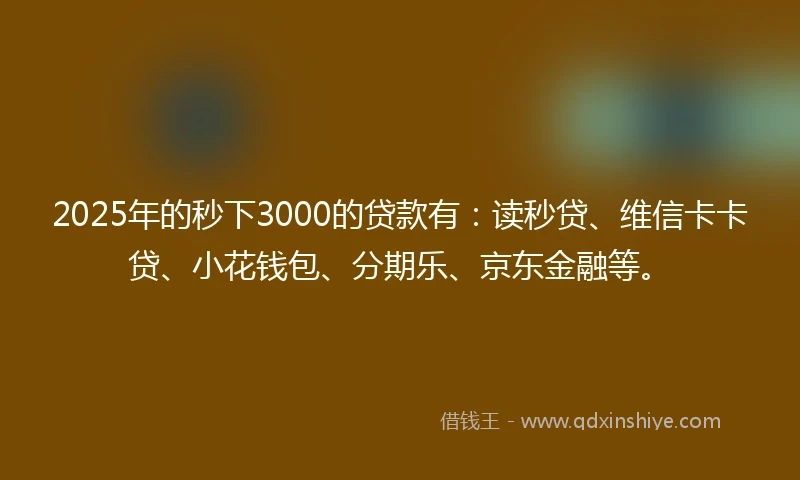 2025年的秒下3000的贷款有：读秒贷、维信卡卡贷、小花钱包、分期乐、京东金融等。