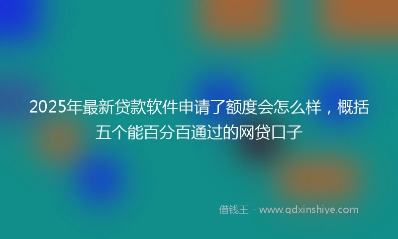 2025年最新贷款软件申请了额度会怎么样，概括五个能百分百通过的网贷口子
