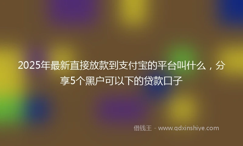2025年最新直接放款到支付宝的平台叫什么，分享5个黑户可以下的贷款口子