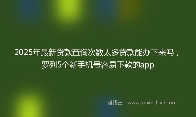 2025年最新贷款查询次数太多贷款能办下来吗,罗列5个新手机号容易下款的app
