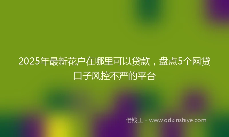 2025年最新花户在哪里可以贷款，盘点5个网贷口子风控不严的平台