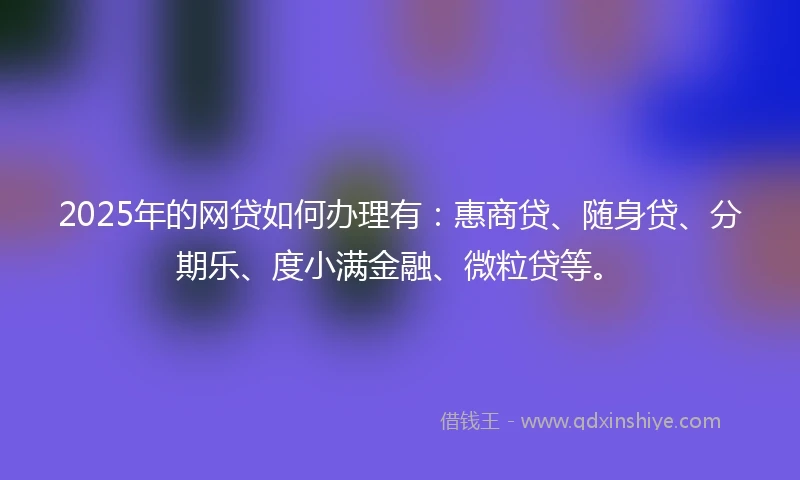 2025年的网贷如何办理有：惠商贷、随身贷、分期乐、度小满金融、微粒贷等。