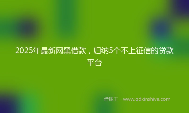 2025年最新网黑借款，归纳5个不上征信的贷款平台